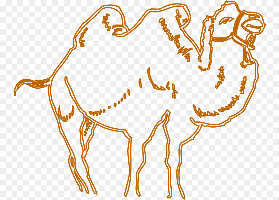 Camel Head Huge Freebie For Arabian Camel, Animal, Mammal, Person Free Transparent Png