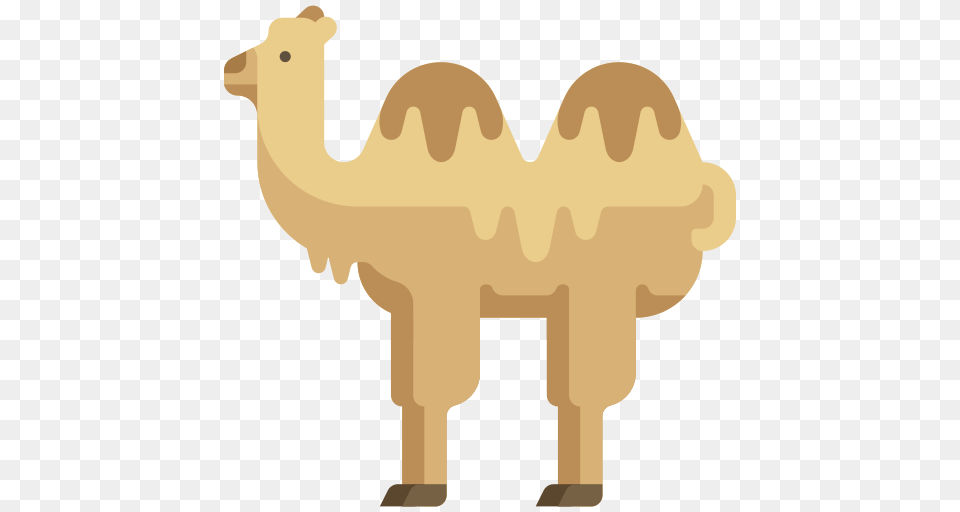 Camel Icon, Animal, Mammal, Baby, Person Png
