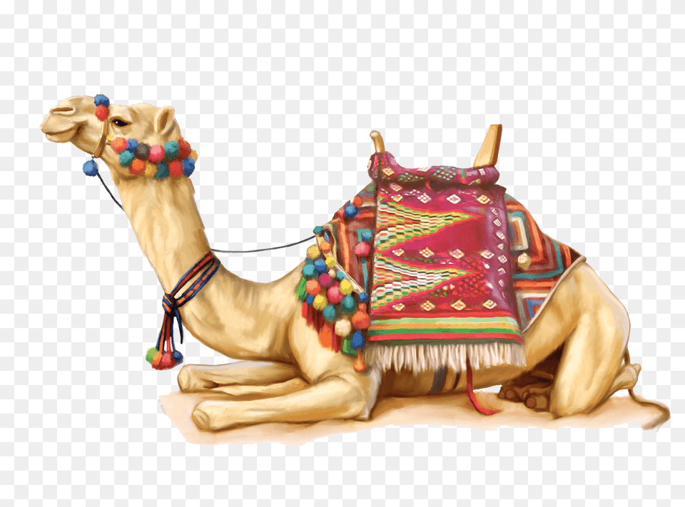 Camel Illustration, Animal, Mammal, Horse Free Png