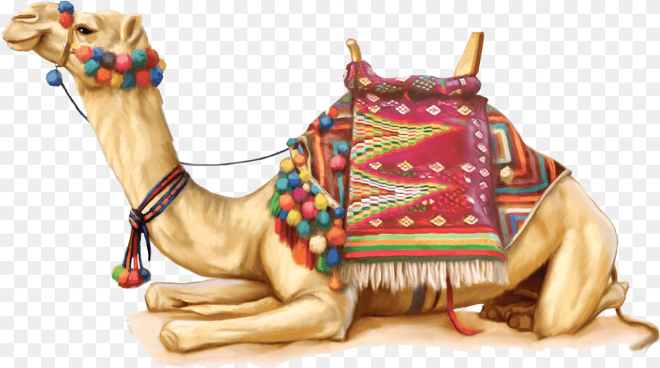 Camel Illustration Rajasthani Camel, Animal, Mammal, Person Free Transparent Png