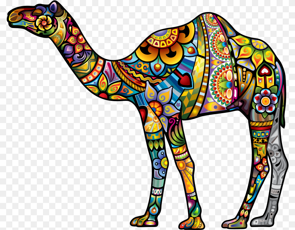 Camel Image Amp Camel Clipart Colorful Camel, Art, Adult, Female, Person Free Png Download