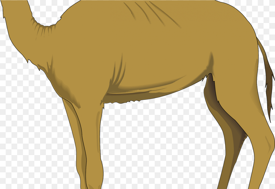 Camel Images Clip Art Surprising Clipart By Vector Camel Clip Art, Animal, Mammal, Person Free Png