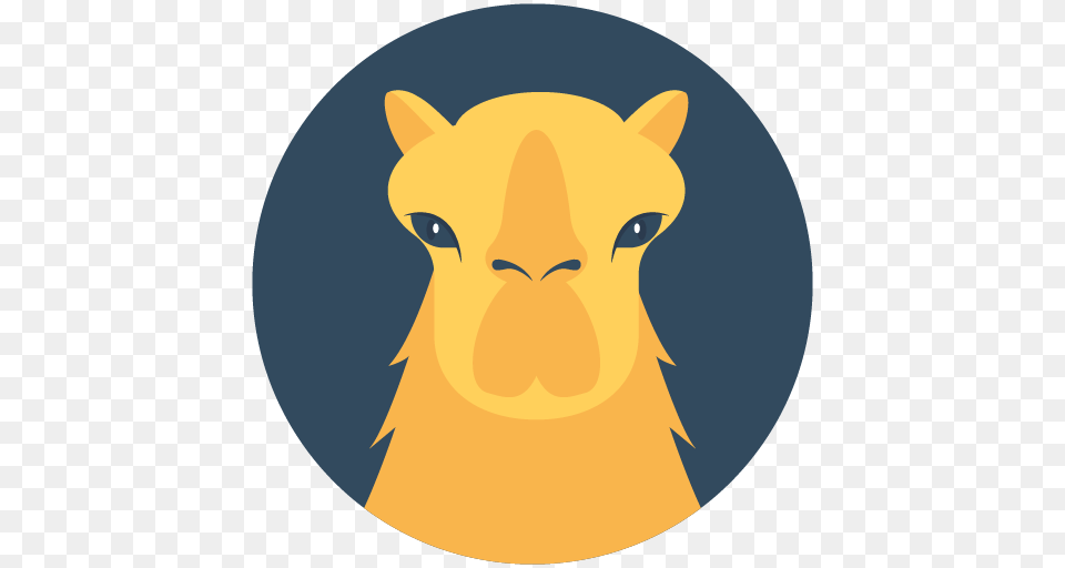 Camel Jokes, Animal, Mammal, Bear, Wildlife Png Image