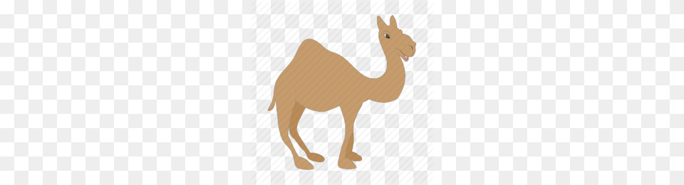 Camel Like Mammal Clipart, Animal Free Png