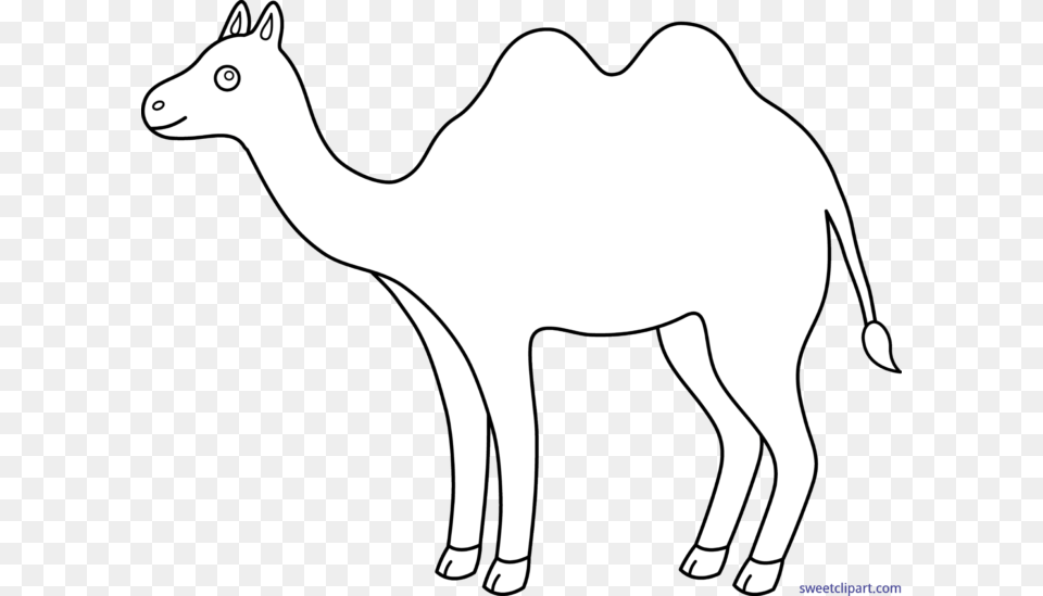 Camel Lineart Clip Art, Animal, Mammal, Kangaroo Free Png Download