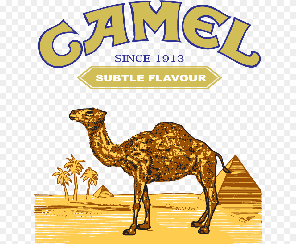 Camel Logo Food Logonoid Camel Logo, Animal, Mammal, Dinosaur, Reptile Free Transparent Png