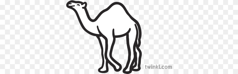Camel Map Icon Desert Animal Mammal Hump Eyfs Black And Animal Figure, Kangaroo Png