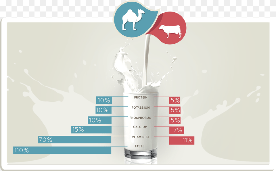 Camel Milk V Cow Milk Camel Milk Vs Cow Milk Nutrition, Beverage, Cup, Animal, Cattle Png Image