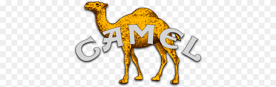 Camel Music Fanart Fanarttv Sharing, Animal, Mammal, Elephant, Wildlife Png