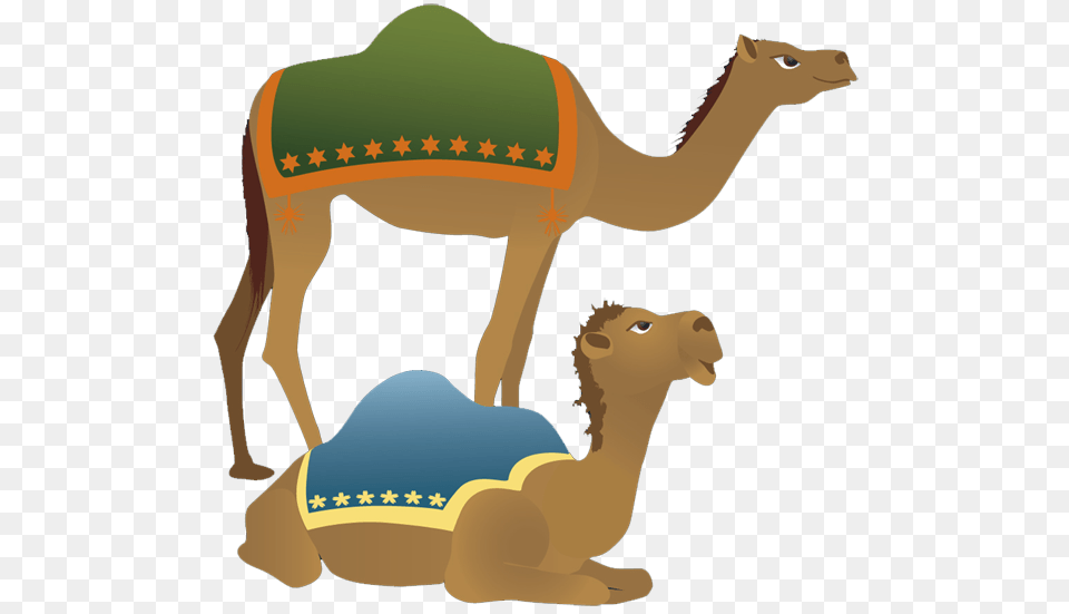 Camel Nativity Cliparts, Animal, Mammal, Kangaroo, Canine Free Png Download