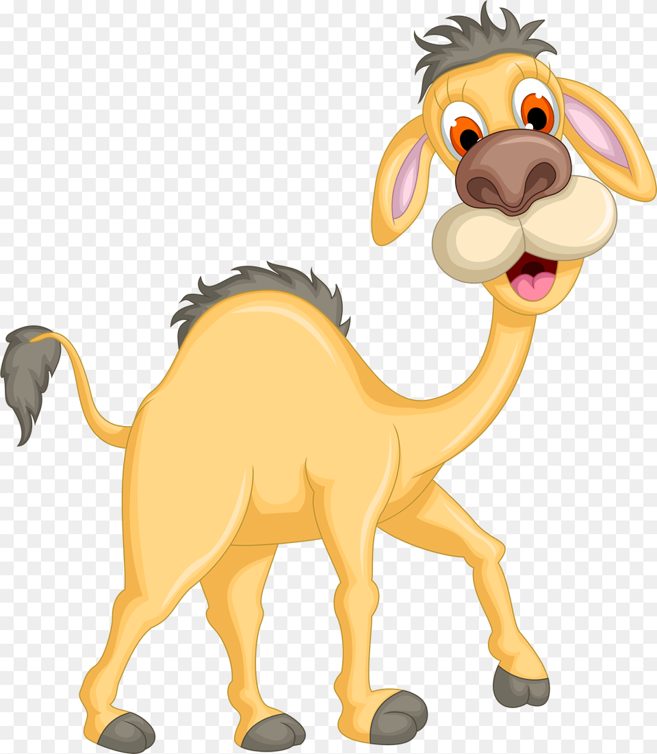 Camel Ostrich Funny Camel Cartoon, Animal, Mammal, Kangaroo Png Image