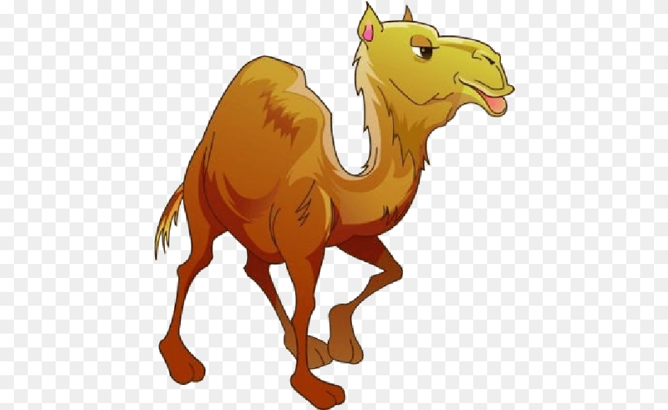 Camel Pngclipart 16 Free Download, Animal, Mammal, Cattle, Cow Png