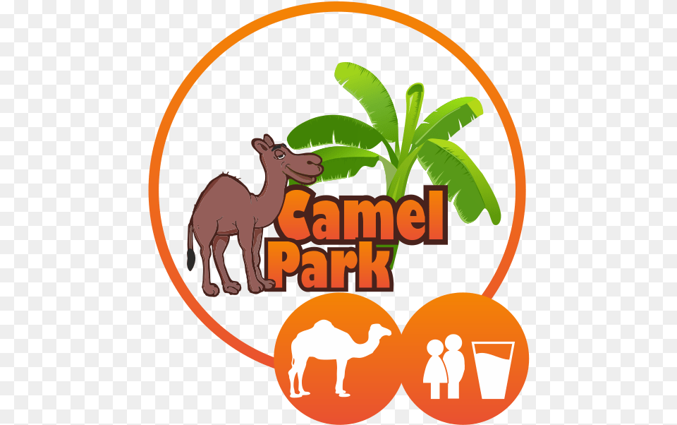 Camel Ride Appetizer, Animal, Mammal Free Png Download