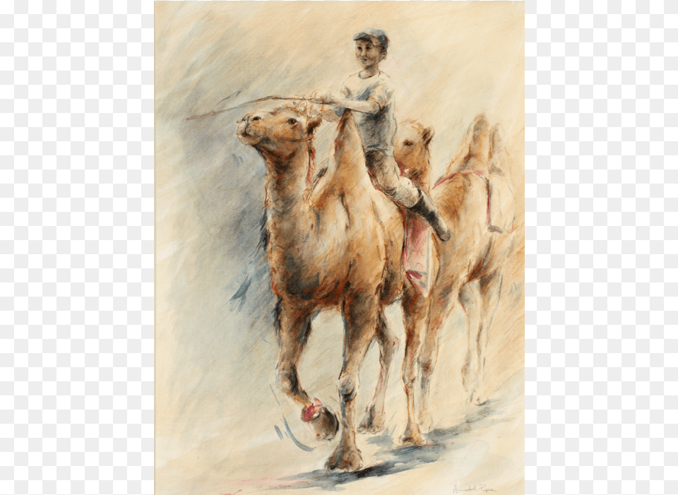 Camel Rides Painting, Art, Animal, Mammal, Male Free Transparent Png