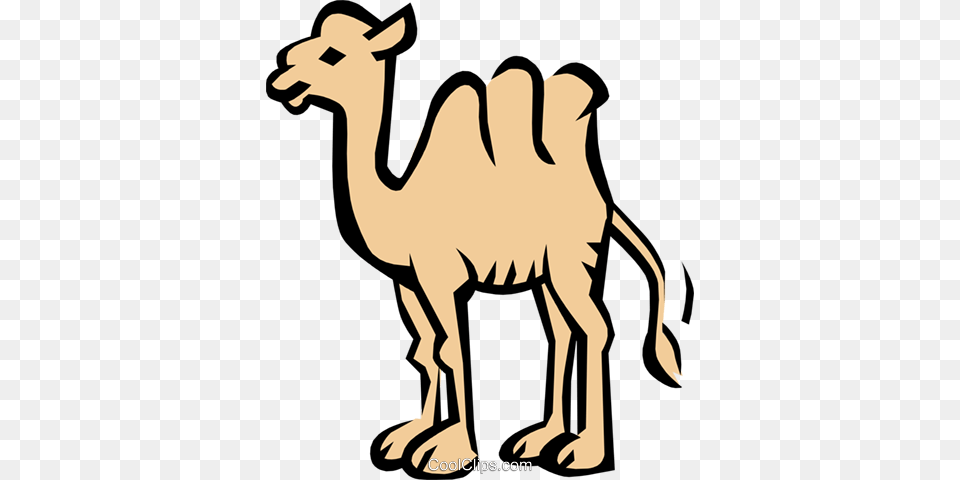 Camel Royalty Vector Clip Art Illustration, Animal, Mammal, Kangaroo Free Png Download