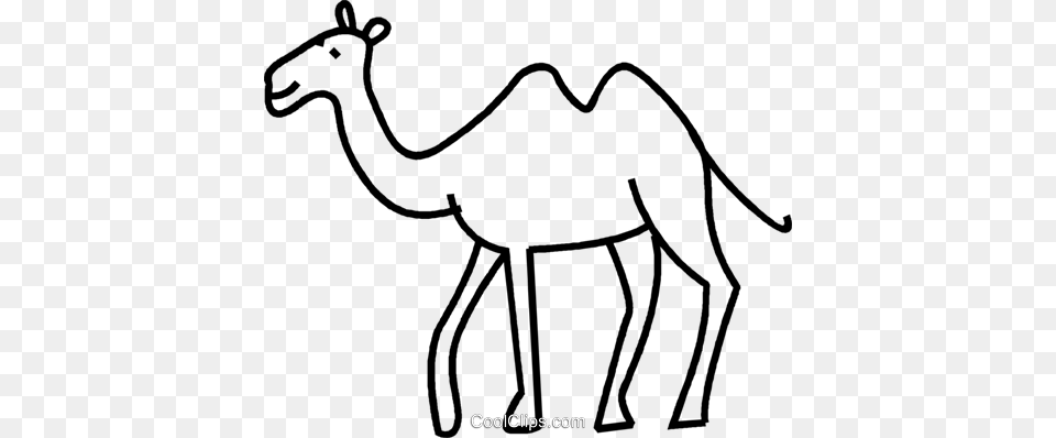 Camel Royalty Vector Clip Art Illustration, Animal, Mammal, Bow, Weapon Png