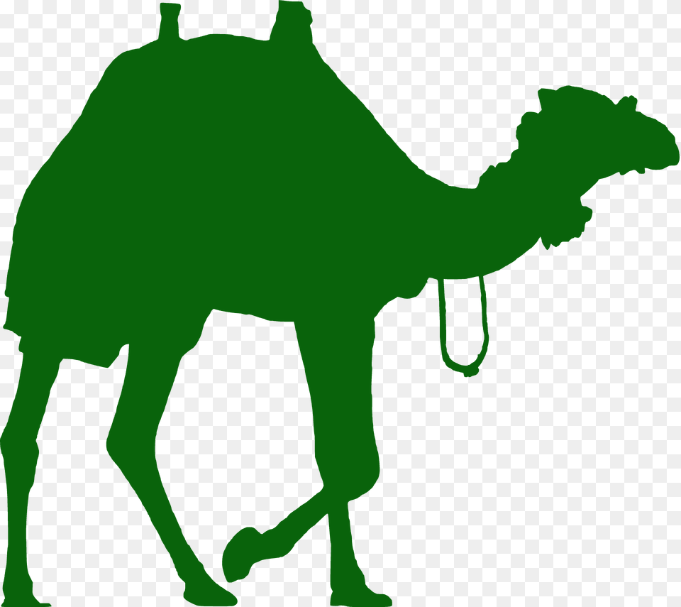 Camel Silhouette, Animal, Mammal, Kangaroo Free Png
