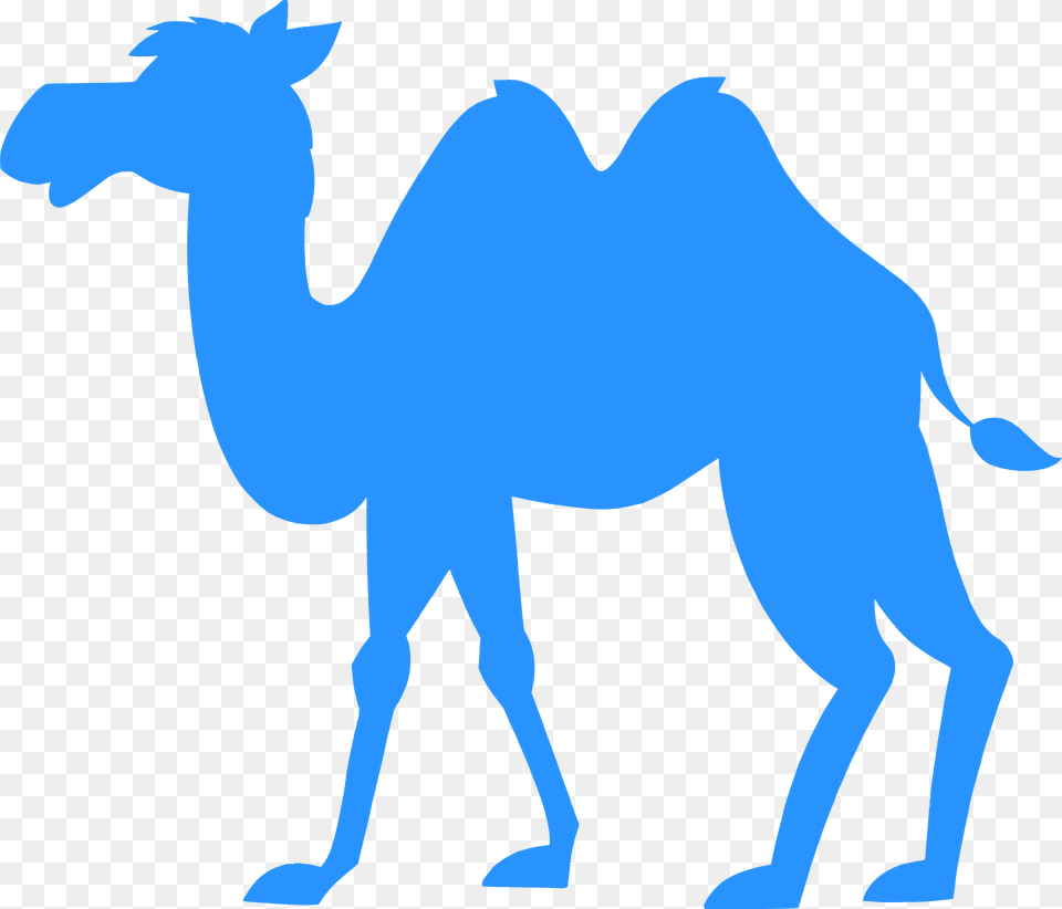 Camel Silhouette, Animal, Mammal, Person Free Png