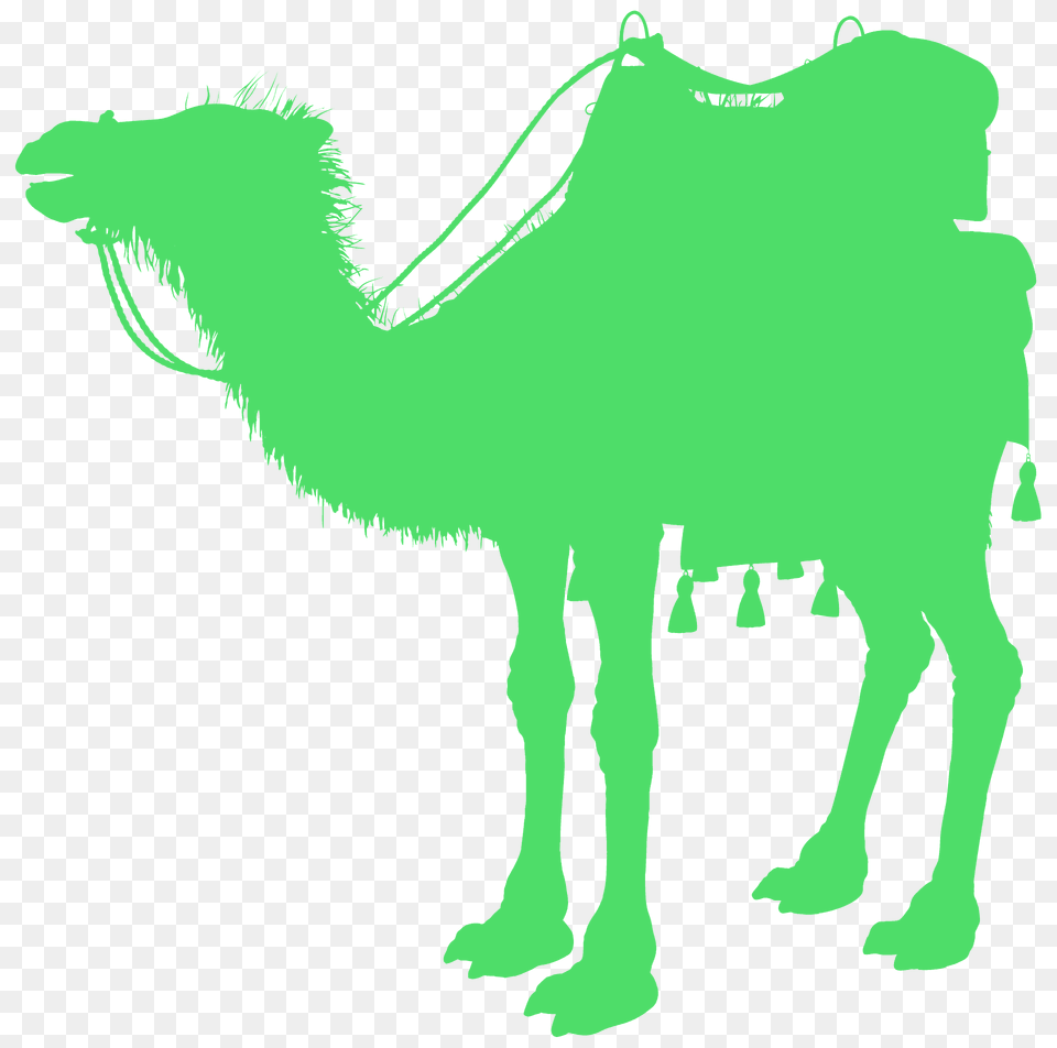 Camel Silhouette, Animal, Mammal, Bear, Wildlife Free Png Download