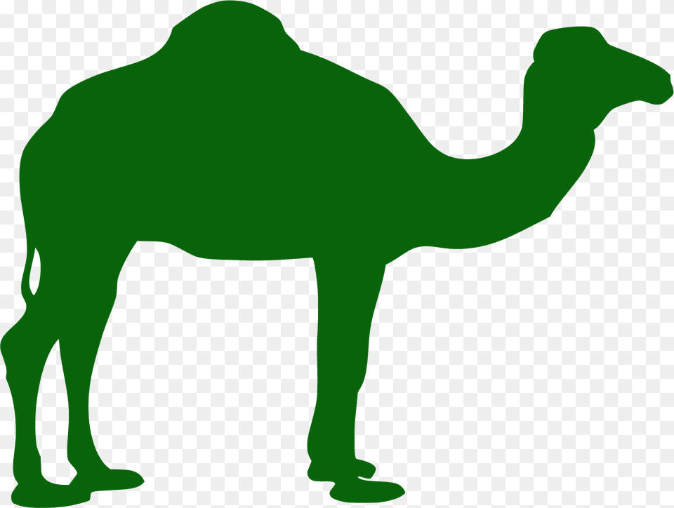Camel Silhouette, Animal, Mammal, Bear, Wildlife Free Transparent Png
