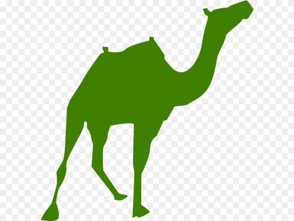 Camel Silhouette Arabia Pyramids Clipart Silhouette, Animal, Mammal, Person Free Transparent Png