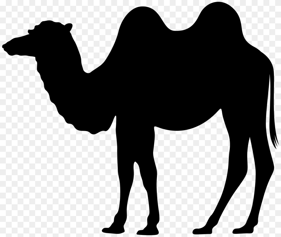 Camel Silhouette Clip, Cross, Symbol Png