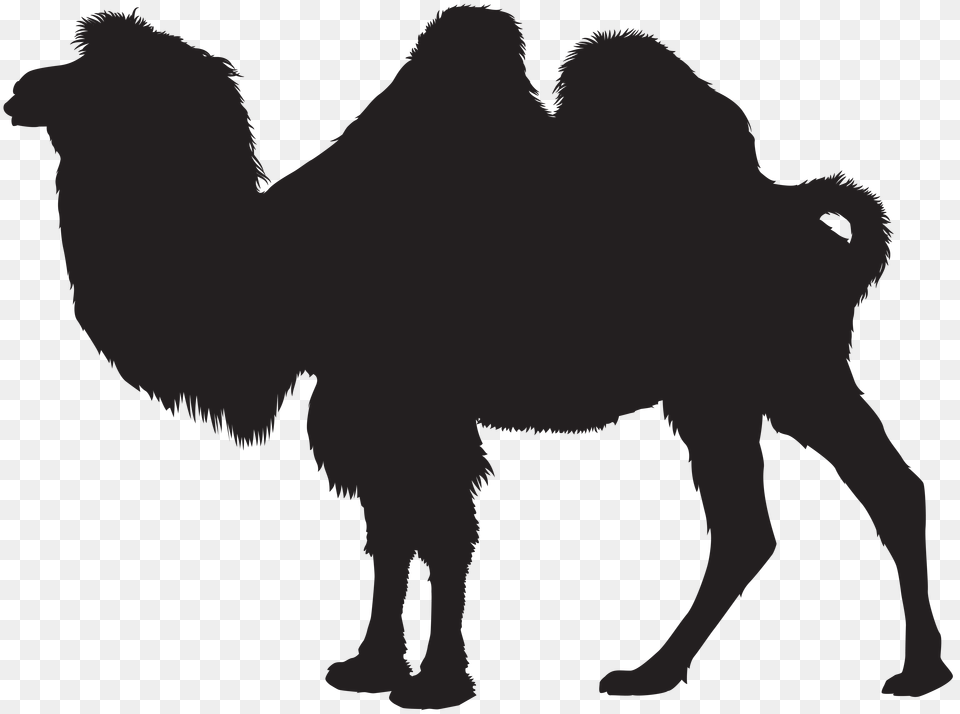 Camel Silhouette Clip Art Png