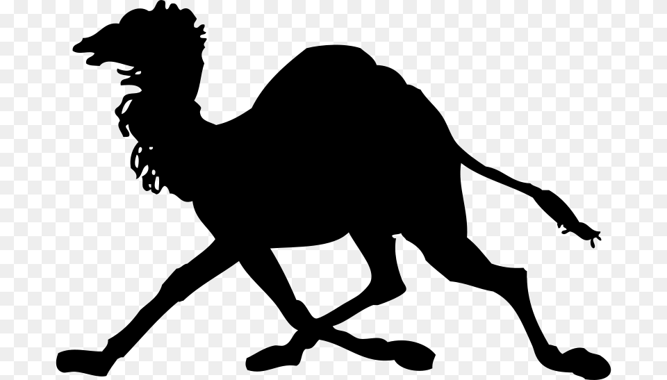 Camel Silhouette Clipart, Gray Png