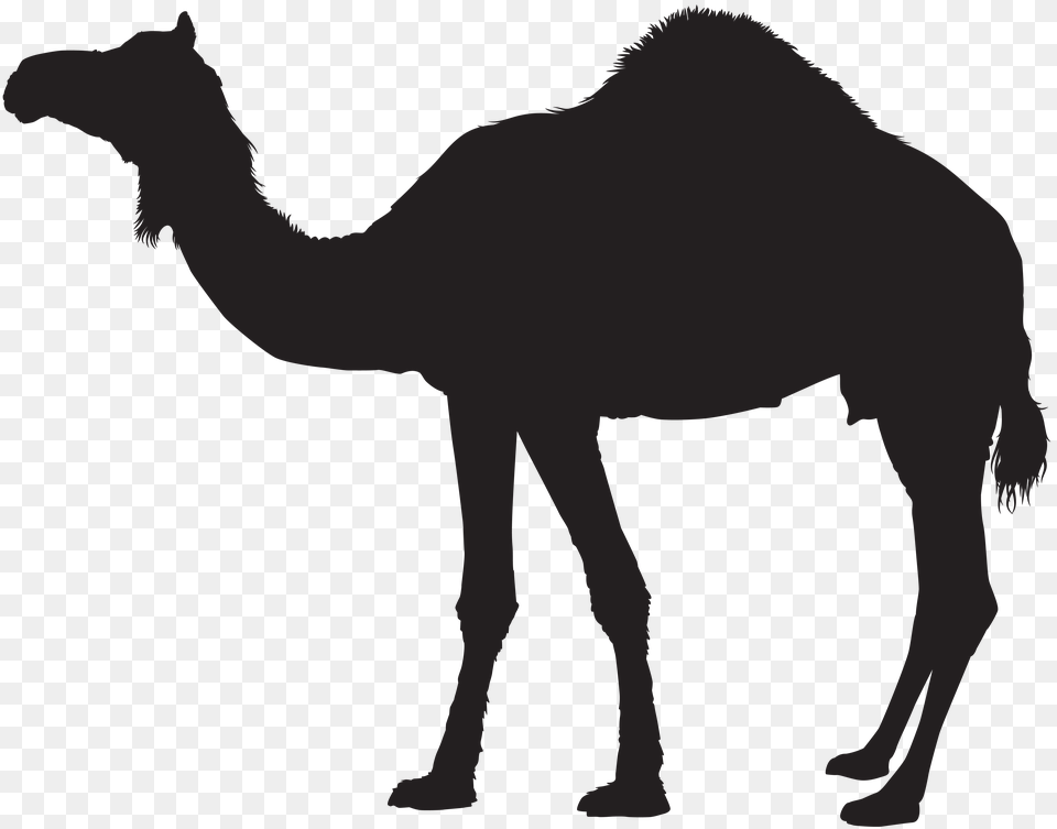 Camel Silhouette Clip, Symbol, Cross Free Transparent Png