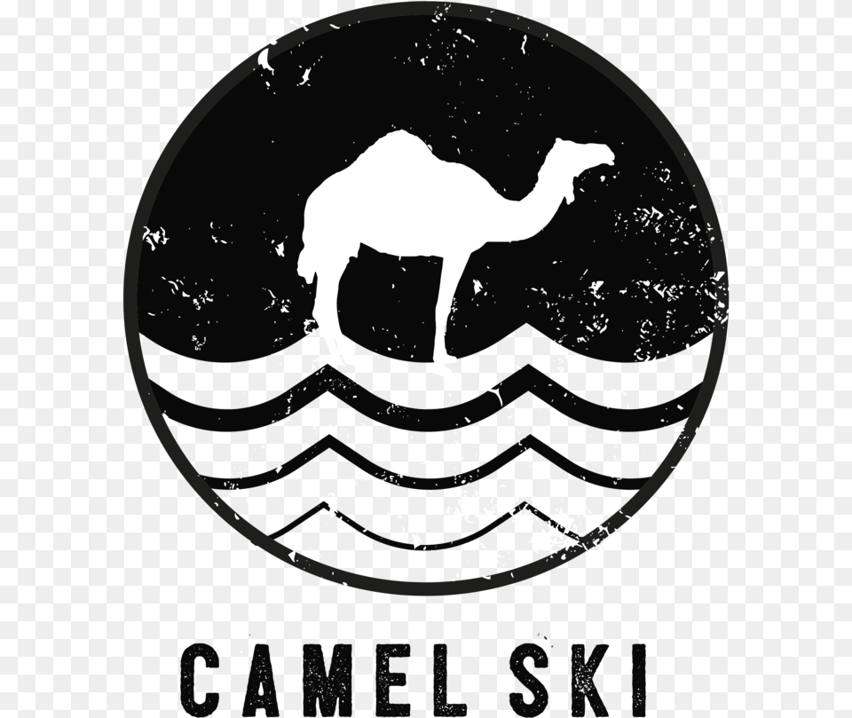 Camel Ski School Arabian Camel, Animal, Mammal Free Png