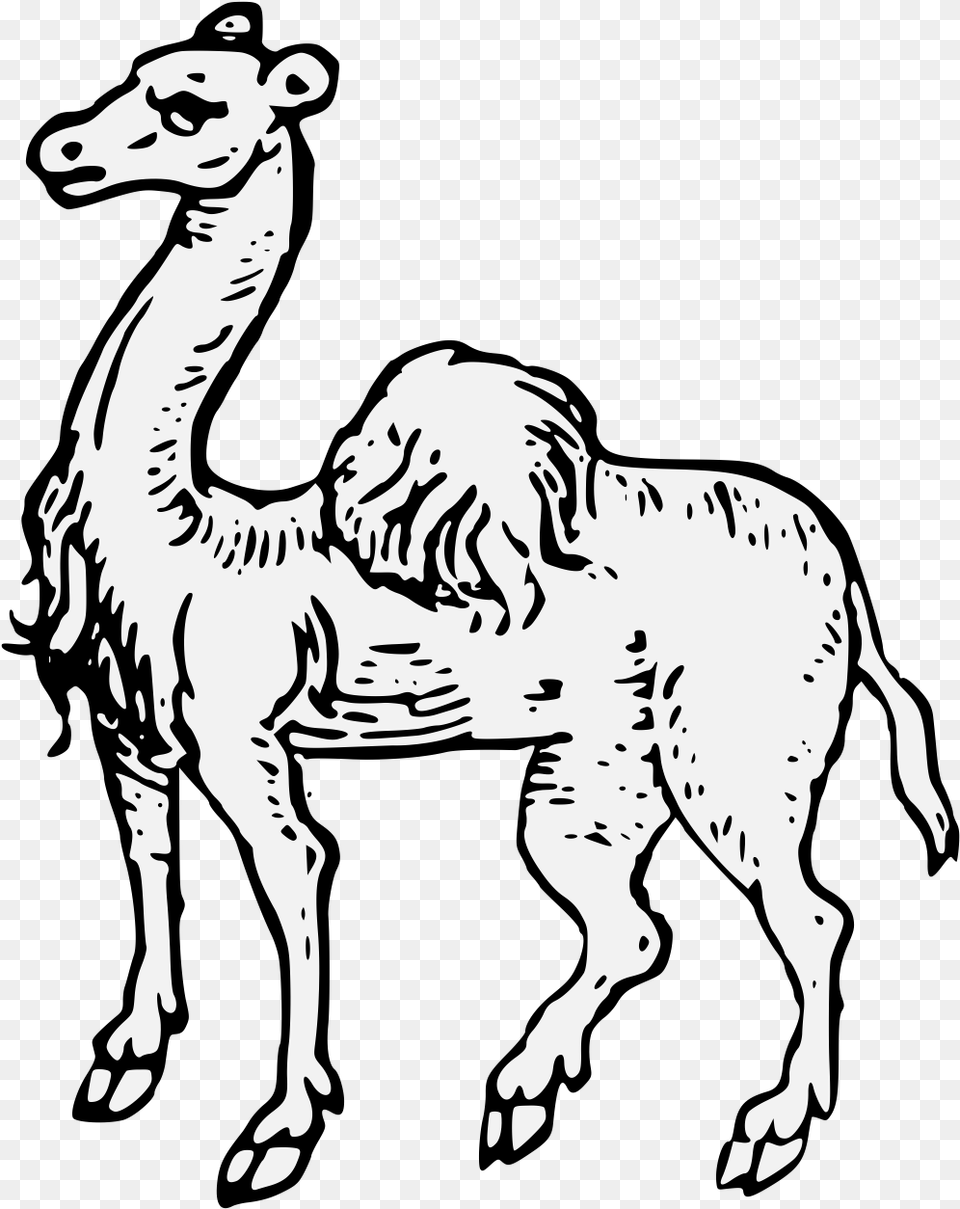 Camel Statant Camel Heraldry, Stencil, Person, Animal, Mammal Free Png Download