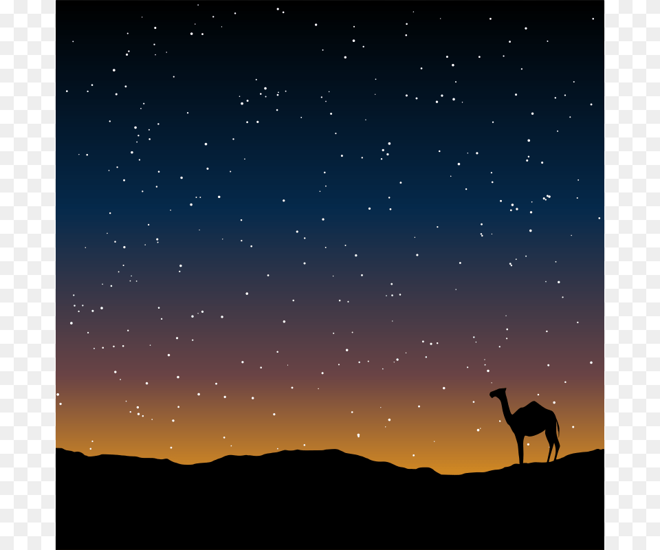 Camel Sunset, Nature, Night, Outdoors, Starry Sky Free Transparent Png