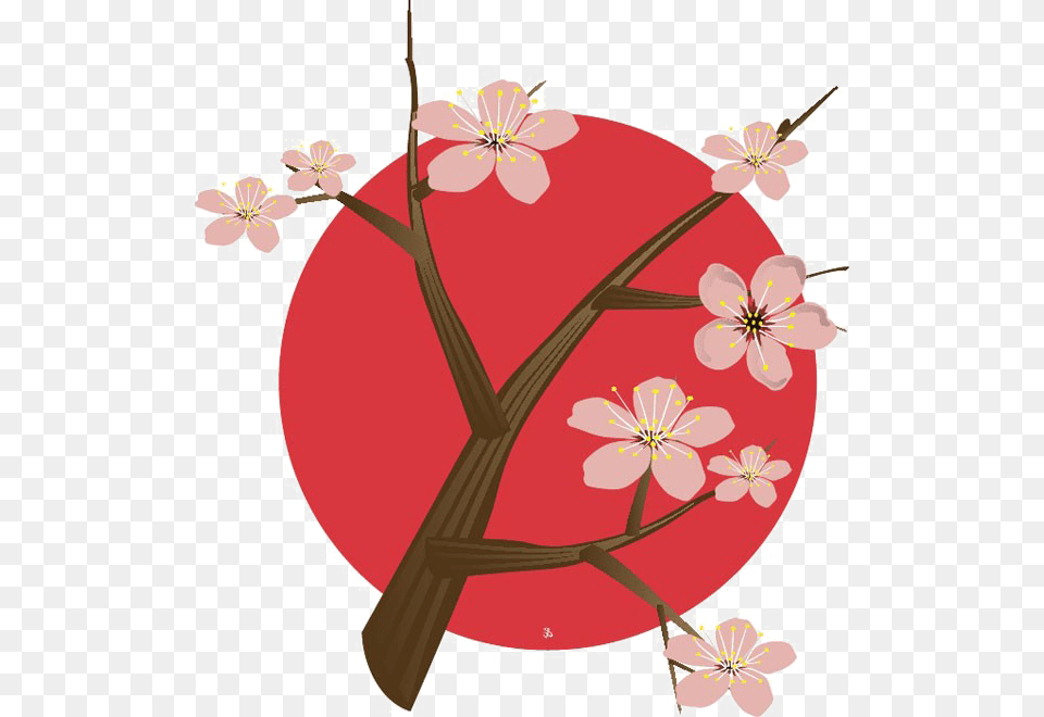 Camel Through Eye Of Needle Meme Japan Cherry Blossom Logo, Flower, Plant, Art, Floral Design Png Image