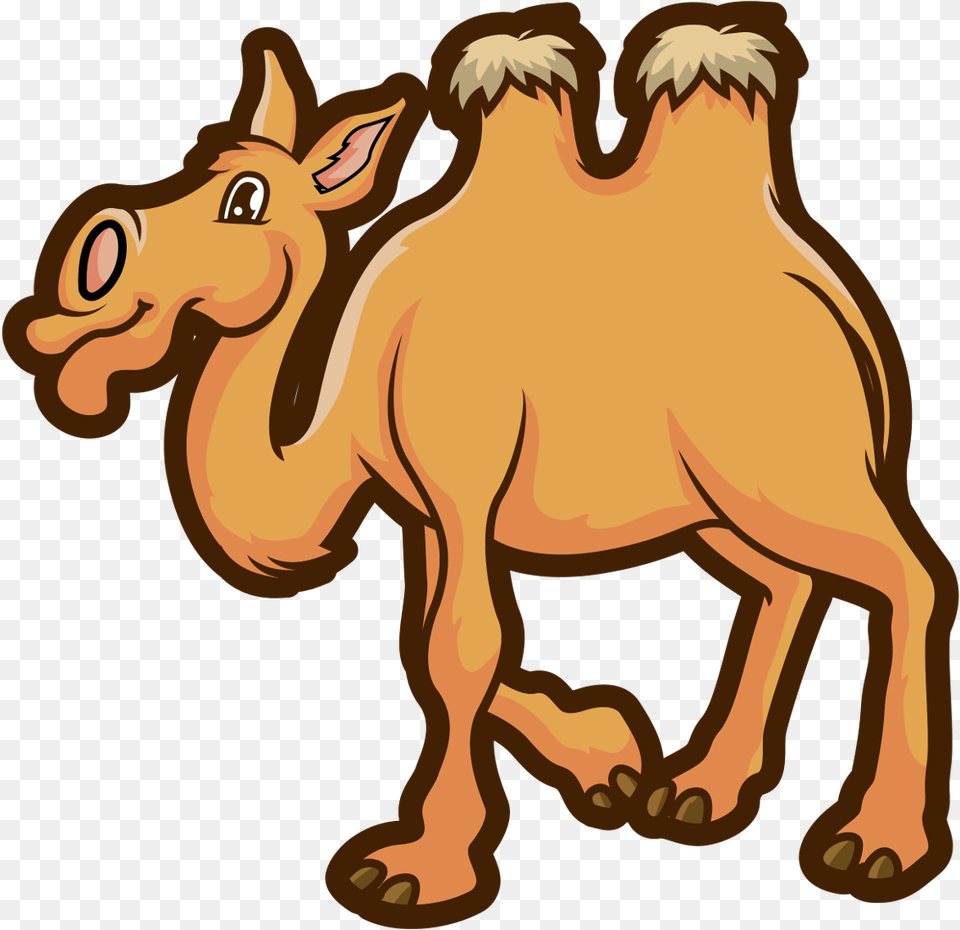Camel Domestic Animal Mammal Free Transparent Png