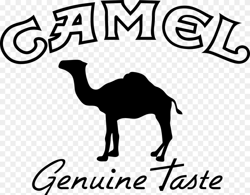 Camel Logo Camel Logo, Gray Free Transparent Png