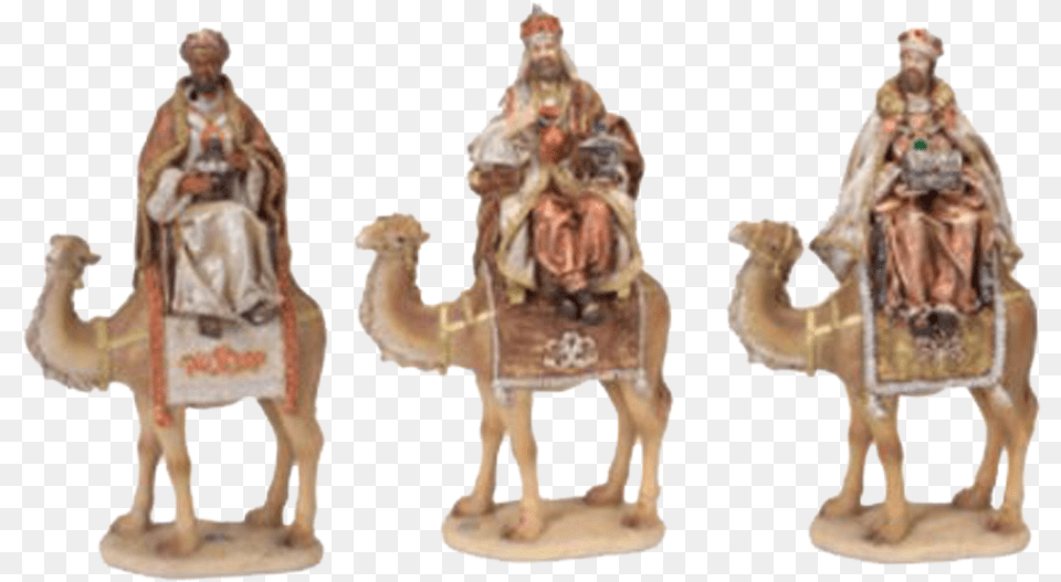 Camel Transparent Nativity Arabian Camel, Animal, Mammal, Person, Adult Free Png Download