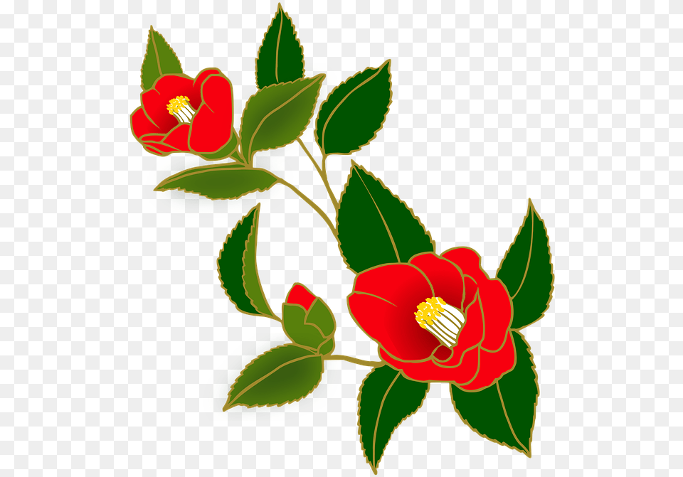 Camellia Flowers Red Japanese Style, Flower, Plant, Leaf, Anther Png