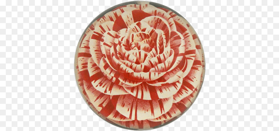 Camellia Japonica Tricolor Imbricata Plena Japanese Camellia, Platter, Dish, Food, Meal Free Transparent Png