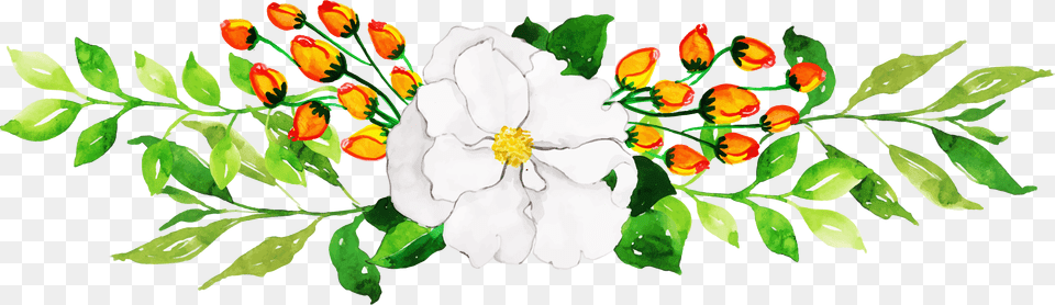 Camellia Sasanqua, Art, Floral Design, Graphics, Pattern Free Png Download