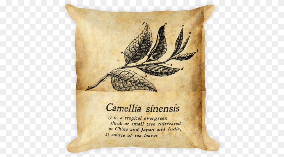 Camellia Sinensis Tea Gift Pillow Cushion, Home Decor, Bag, Animal, Reptile Png Image