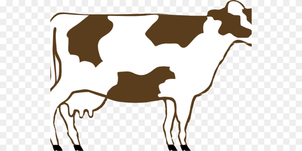 Camels Clipart, Animal, Cattle, Cow, Dairy Cow Png Image
