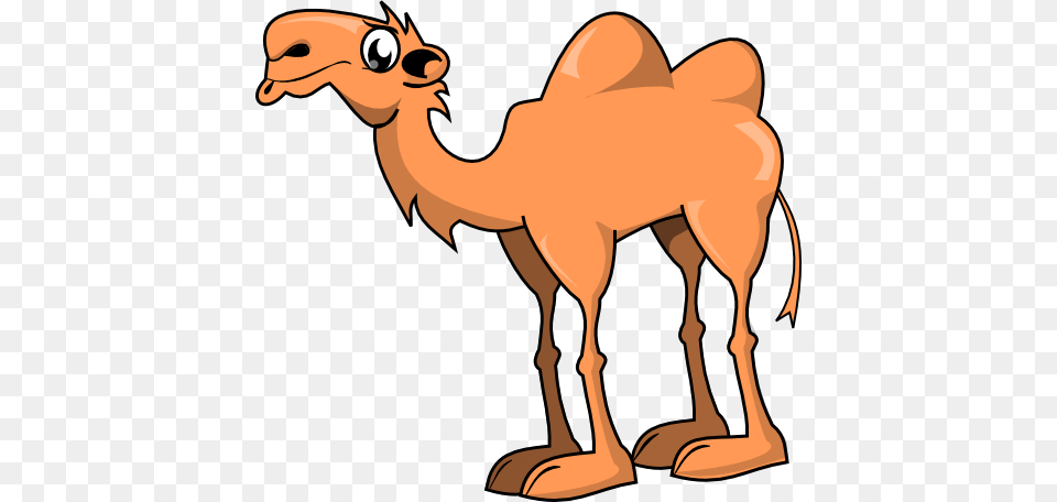 Camels Clipart 2 Hump Cartoon Camel Two Humps, Animal, Mammal, Kangaroo Png