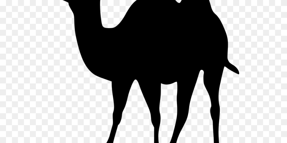 Camels Clipart, Gray Free Png Download