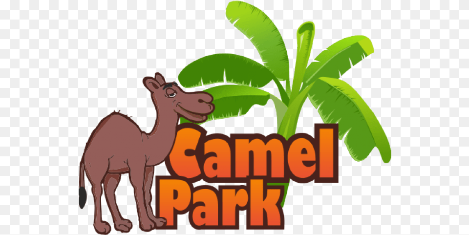 Camels Clipart Camel Ride Camel Park Tenerife Logo Camel Park Tenerife Logo, Animal, Zoo, Mammal, Cattle Free Png