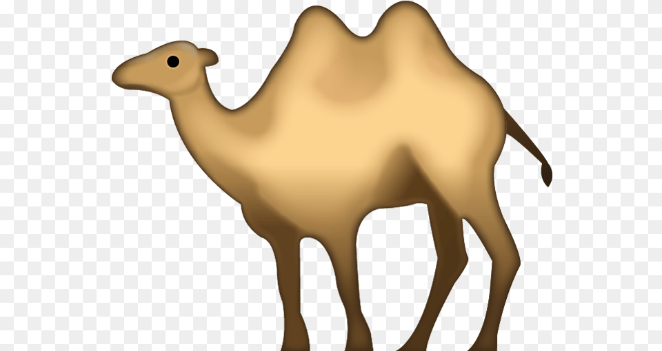 Camels Clipart File Camel Emoji, Animal, Mammal, Kangaroo Png