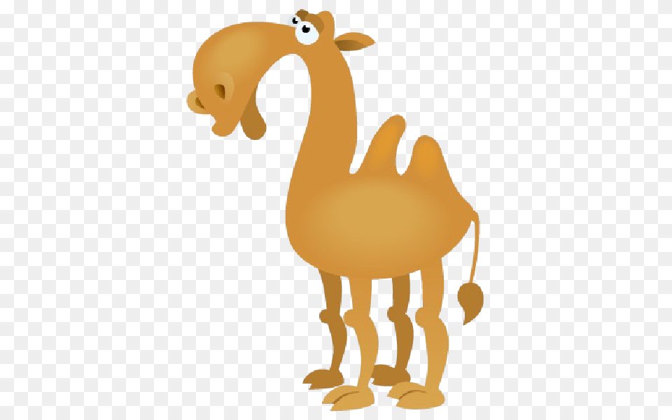 Camels Clipart Funny, Animal, Camel, Mammal, Kangaroo Free Transparent Png