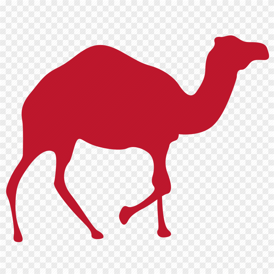 Camels Clipart Load Arabian Camel, Animal, Mammal, Baby, Person Free Transparent Png