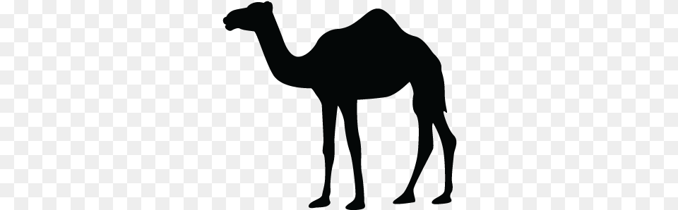 Camelvector Camel Silhouette Free Vector, Animal, Mammal, Person Png Image