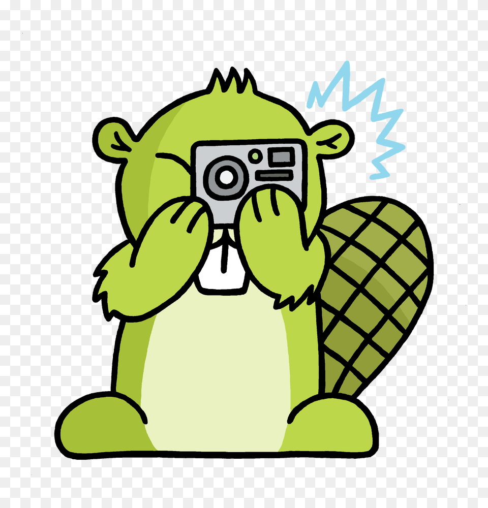 Camera Adsy Transparent, Animal, Bear, Mammal, Wildlife Png