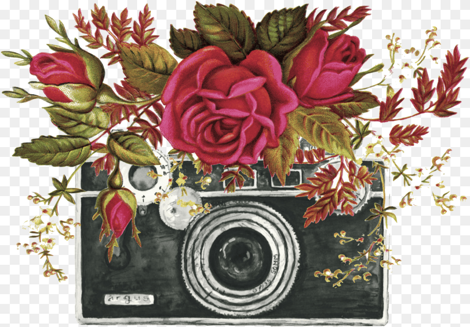 Camera Flower Designs Transp Camera With Flowers Svg, Art, Plant, Pattern, Graphics Free Png